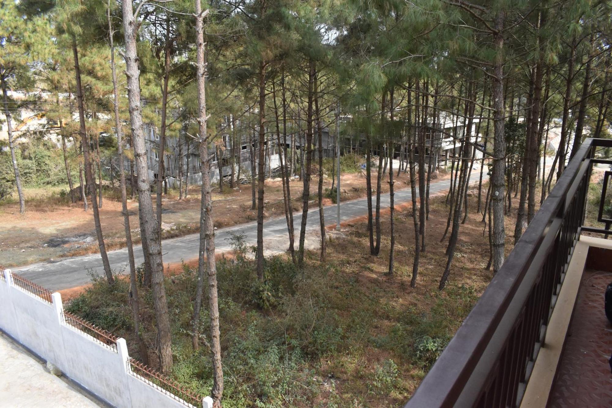 שילונג Xtsy Travellers Hostel מראה חיצוני תמונה
